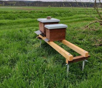 Bienen auf Wanderschaft